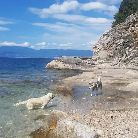 Lori コストレナ